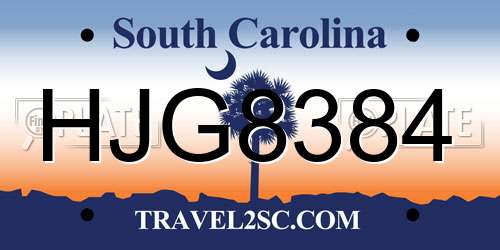 HJG8384 South Carolina License Plate