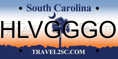 HLVGGGO South Carolina License Plate