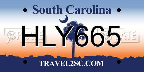 HLY665 South Carolina License Plate