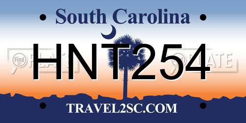 HNT254 South Carolina License Plate