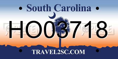 HO03718 South Carolina License Plate