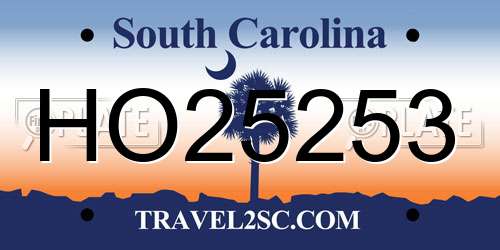HO25253 South Carolina License Plate