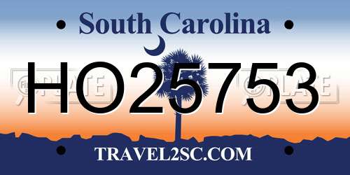 HO25753 South Carolina License Plate