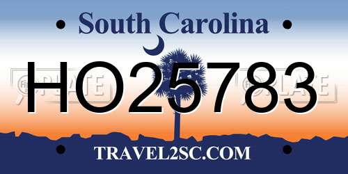 HO25783 South Carolina License Plate