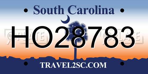 HO28783 South Carolina License Plate