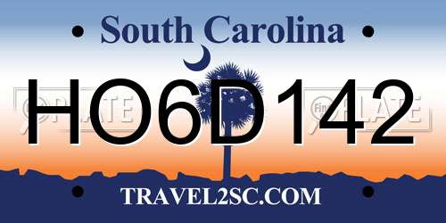 HO6D142 South Carolina License Plate