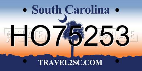 HO75253 South Carolina License Plate