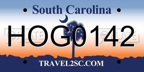 HOG0142 South Carolina License Plate