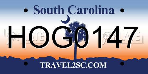 HOG0147 South Carolina License Plate