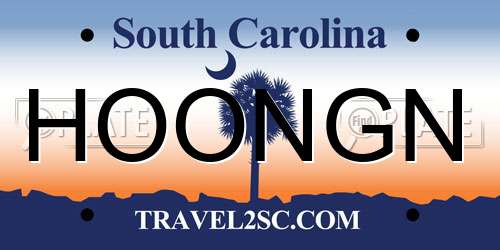 HOONGN South Carolina License Plate