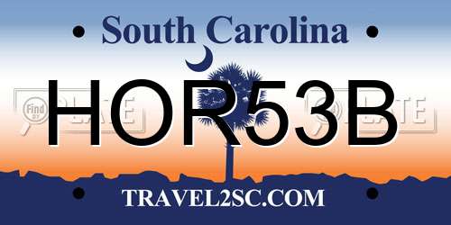 HOR53B South Carolina License Plate