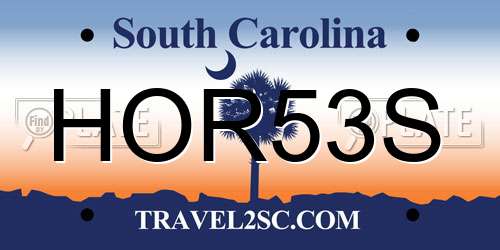 HOR53S South Carolina License Plate