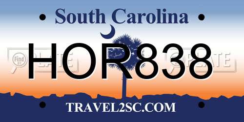 HOR838 South Carolina License Plate