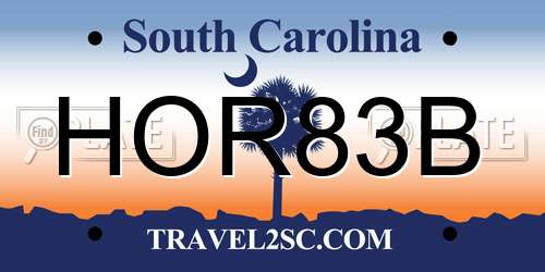 HOR83B South Carolina License Plate