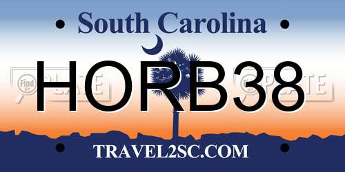 HORB38 South Carolina License Plate