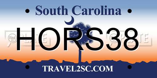 HORS38 South Carolina License Plate