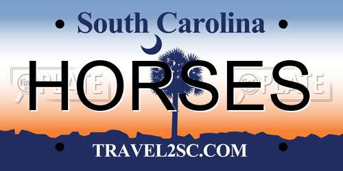 HORSES South Carolina License Plate