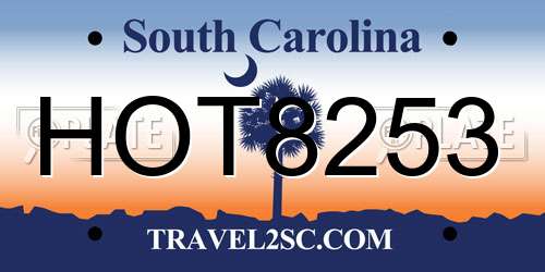 HOT8253 South Carolina License Plate