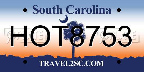 HOT8753 South Carolina License Plate