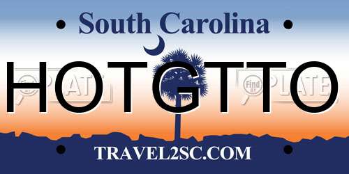 HOTGTTO South Carolina License Plate