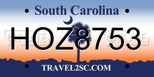 HOZ8753 South Carolina License Plate
