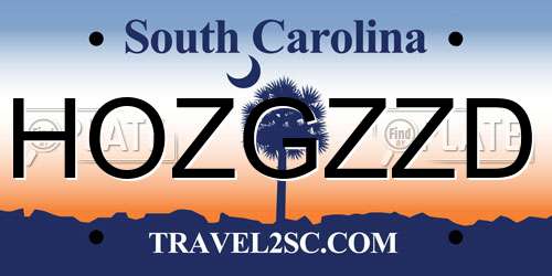 HOZGZZD South Carolina License Plate