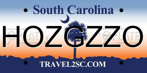 HOZGZZO South Carolina License Plate