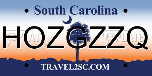 HOZGZZQ South Carolina License Plate