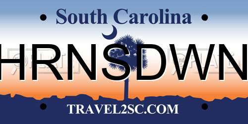 HRNSDWN South Carolina License Plate