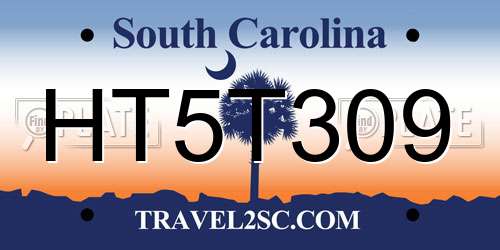 HT5T309 South Carolina License Plate