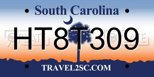 HT8T309 South Carolina License Plate