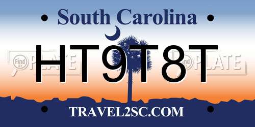 HT9T8T South Carolina License Plate