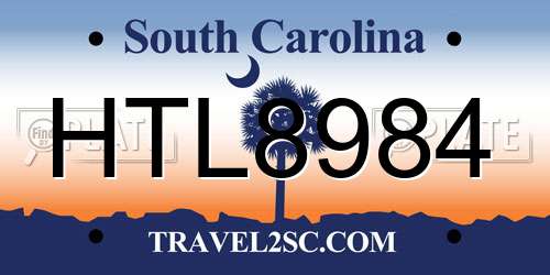 HTL8984 South Carolina License Plate