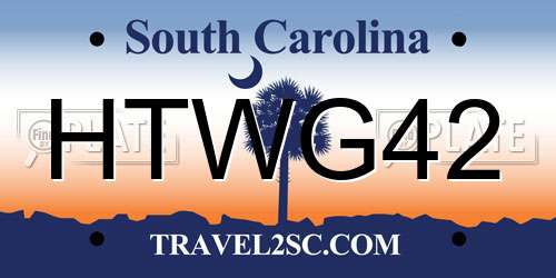 HTWG42 South Carolina License Plate