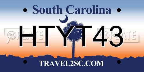HTYT43 South Carolina License Plate
