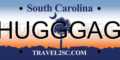 HUGGGAG South Carolina License Plate