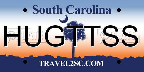 HUGTTSS South Carolina License Plate