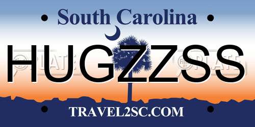 HUGZZSS South Carolina License Plate