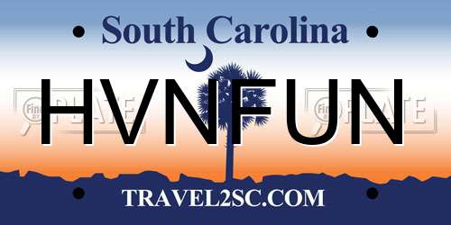 HVNFUN South Carolina License Plate