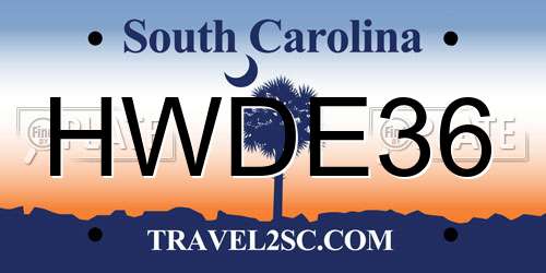 HWDE36 South Carolina License Plate
