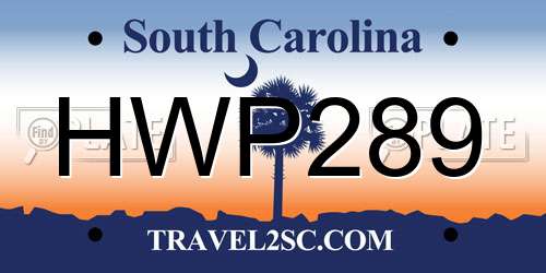 HWP289 South Carolina License Plate