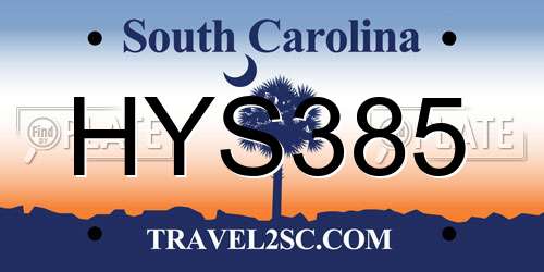 HYS385 South Carolina License Plate