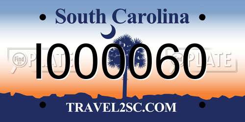 I000060 South Carolina License Plate