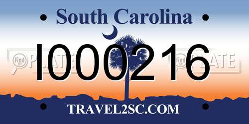 I000216 South Carolina License Plate