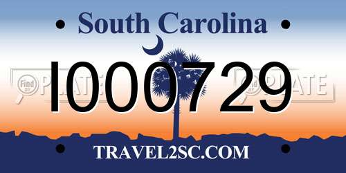 I000729 South Carolina License Plate