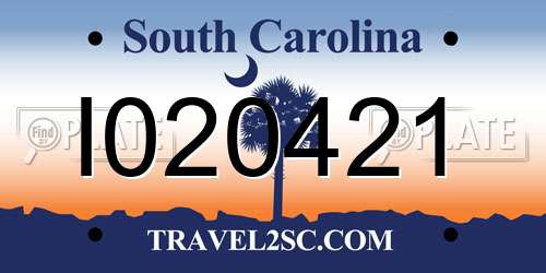 I020421 South Carolina License Plate