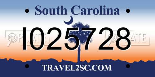 I025728 South Carolina License Plate