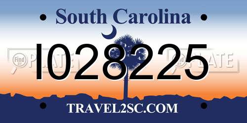 I028225 South Carolina License Plate