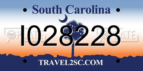 I028228 South Carolina License Plate