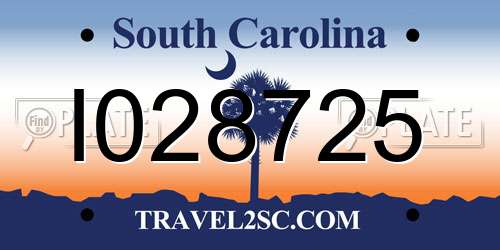 I028725 South Carolina License Plate